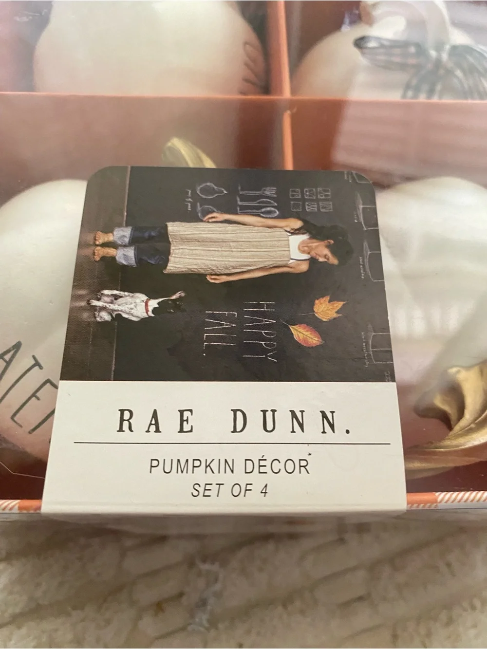 NIB Rae Dunn Fall White Pumpkin Decor Set of 4 Grateful Gingham Ribbon